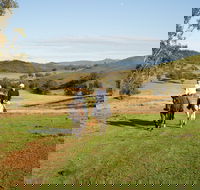 Tamworth and Kootingal Horse Riding Adventures - Accommodation Tasmania