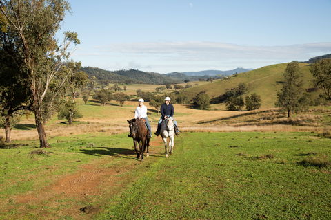 Tamworth And Kootingal Horse Riding Adventures - Accommodation Tasmania 0
