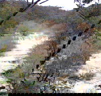 The Falls Water Falls - Accommodation Tasmania