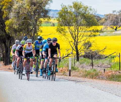 The Heron's Highway - Avon River Cycle Trail - Accommodation Tasmania 0