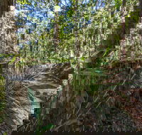 Thylogale Track - Accommodation Tasmania