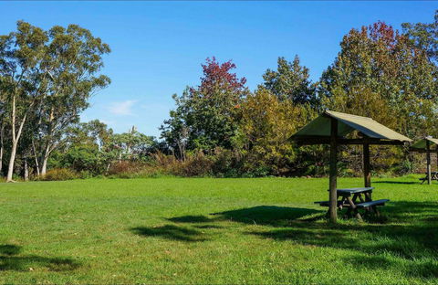 Tunks Hill Picnic Area - Accommodation Tasmania 0