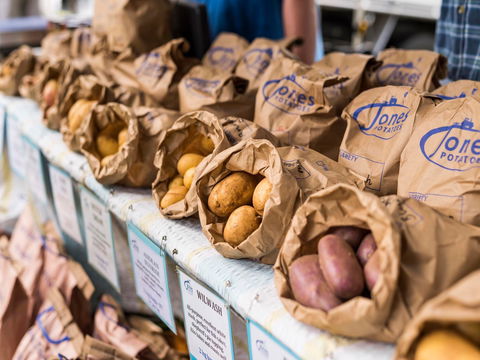 Warragul Farmers Market - Accommodation Tasmania 2