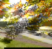 Wentworth Falls Lake - Accommodation Tasmania