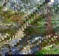 Woko National Park - Accommodation Tasmania