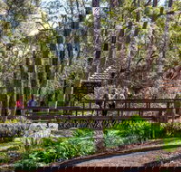 Armadale - Accommodation Tasmania