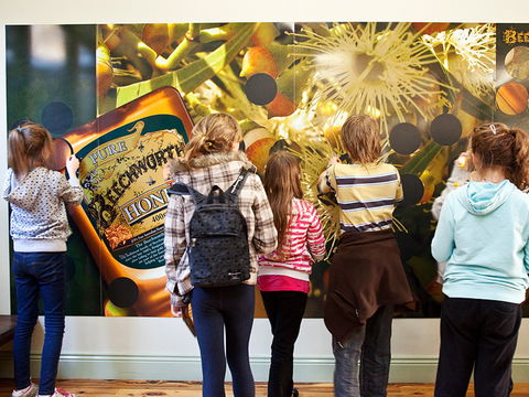 Beechworth Honey Shop - Accommodation Tasmania 2