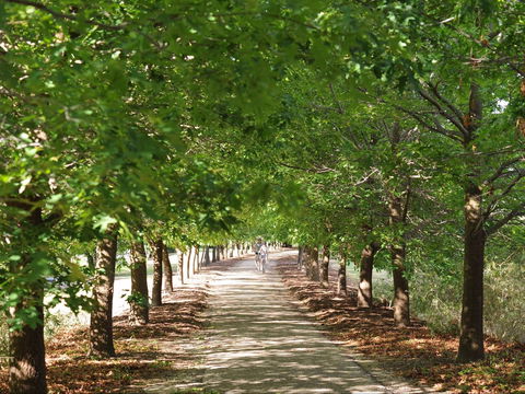 Beechworth To Everton Station 16km - Accommodation Tasmania 1