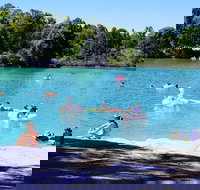 Black Diamond Lake - Accommodation Tasmania