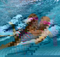 Blacktown Aquatic Centre - Accommodation Tasmania
