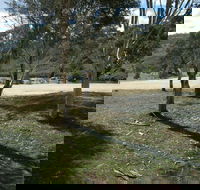 Bombala Platypus Reserve - Accommodation Tasmania