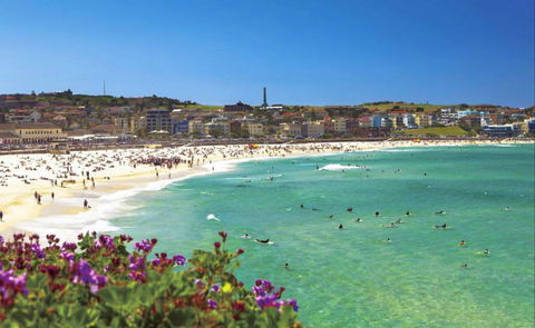 Bondi - Accommodation Tasmania 0