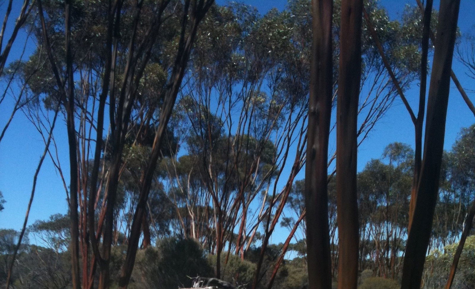 Boorabbin WA Accommodation Tasmania