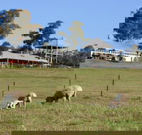 Calmsley Hill City Farm - Accommodation Tasmania
