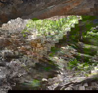 Cave Creek Walking Track - Accommodation Tasmania