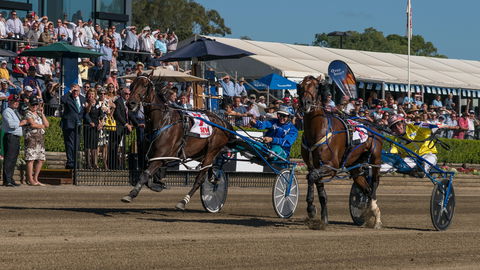 Club Menangle - Accommodation Tasmania 2