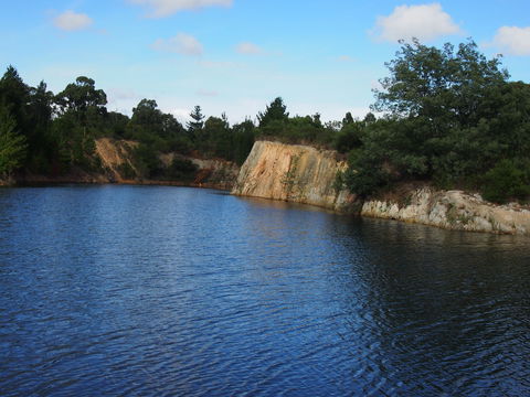 Devilbend Reservoir Walking Tracks - Accommodation Tasmania 0