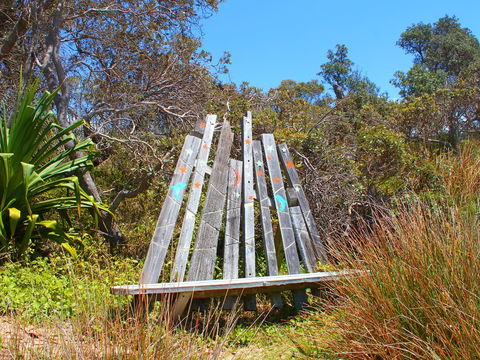 Diggers Headland - Accommodation Tasmania 1