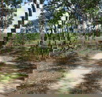 Djukbinj National Park - Accommodation Tasmania