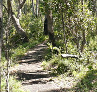 Euglah Rock Walking Track - Accommodation Tasmania