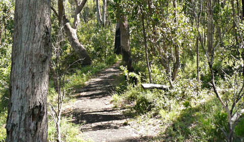 Euglah Rock Walking Track - Accommodation Tasmania 0