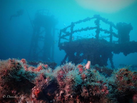 Ex HMAS Adelaide - Accommodation Tasmania 0