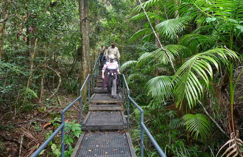 Falls Walking Track - Accommodation Tasmania 0