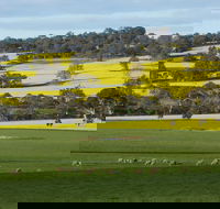 Fini Olives - Accommodation Tasmania