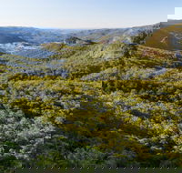 Gold Coast Hinterland Great Walk - Accommodation Tasmania