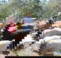 Haigslea EWE Nique Hobby Farm - Accommodation Tasmania