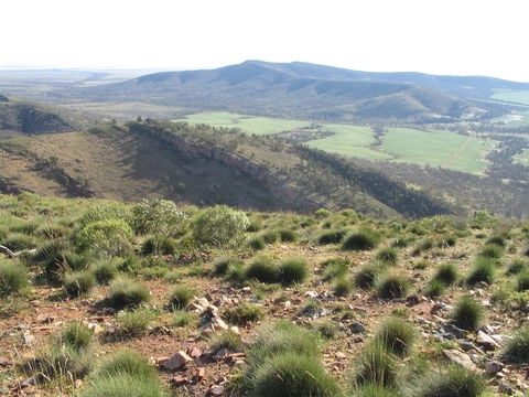 Horseshoe Rim 4WD Adventure Track - Accommodation Tasmania 0