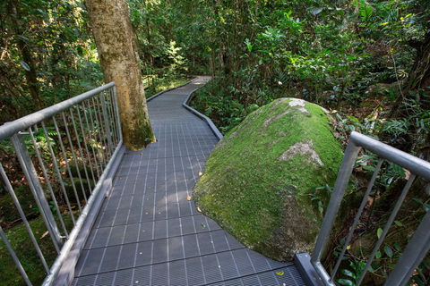 Josephine Falls Walking Track, Wooroonooran National Park - Accommodation Tasmania 2
