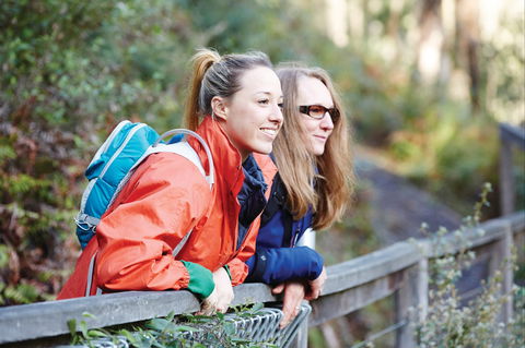 Kinglake National Park - Accommodation Tasmania 2