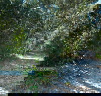 Lillypilly loop trail - Accommodation Tasmania