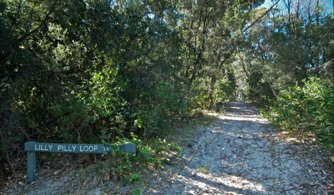 Lillypilly Loop Trail - Accommodation Tasmania 0
