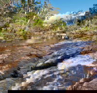 Little Dandahra Creek Walking Track - Accommodation Tasmania