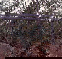 Marrinup Trail Dwellingup - Accommodation Tasmania