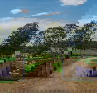 Moorebank Vineyard - Accommodation Tasmania
