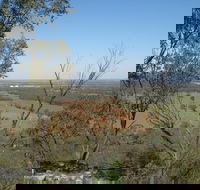 Mount Tilga - Accommodation Tasmania