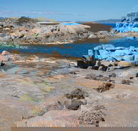 Nanarup Beach - Accommodation Tasmania