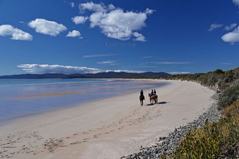 North West - Accommodation Tasmania 0