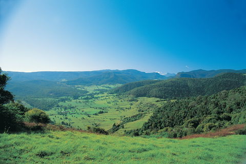 Numinbah Section, Springbrook National Park - Accommodation Tasmania 0
