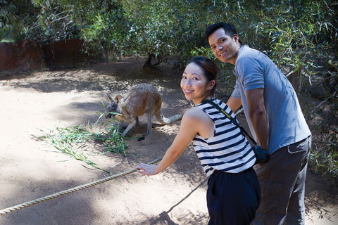 Perth Zoo - Accommodation Tasmania 2
