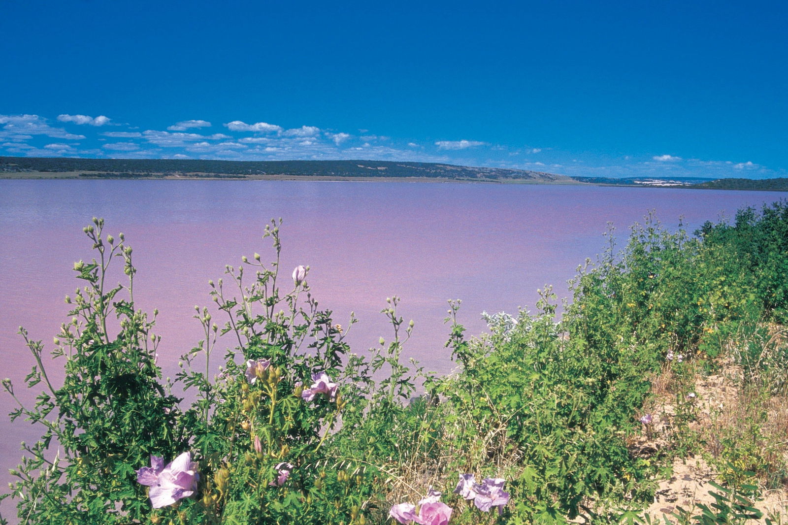Gregory WA Accommodation Tasmania