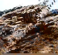 Rock Climbing in Morialta - Accommodation Tasmania