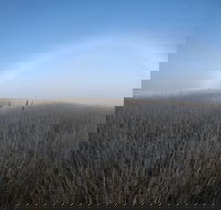 Sutton - Accommodation Tasmania