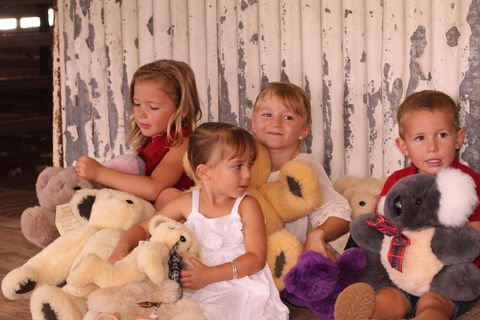 Tambo Teddies - Accommodation Tasmania 0