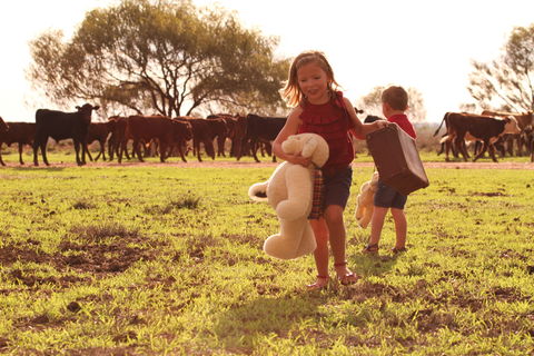 Tambo Teddies - Accommodation Tasmania 1