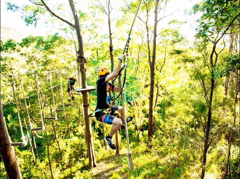 TreeTop Challenge - Accommodation Tasmania 1