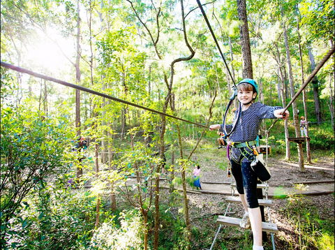TreeTop Challenge - Accommodation Tasmania 2